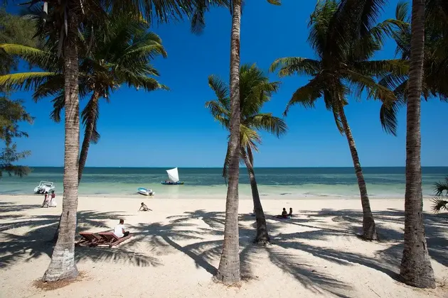 Le palme proiettano lunghe ombre su una spiaggia di sabbia bianca dove le persone si rilassano accanto a un oceano calmo sotto un cielo azzurro chiaro.