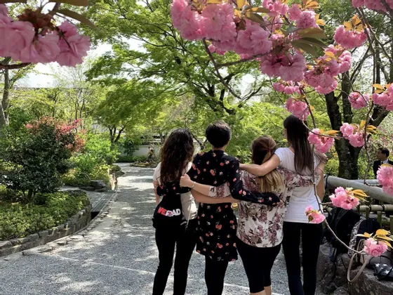 Un viaggio di gruppo WeRoad di quattro donne che, abbracciate, passeggiano su un sentiero sotto alberi di ciliegio in fiore rosa.