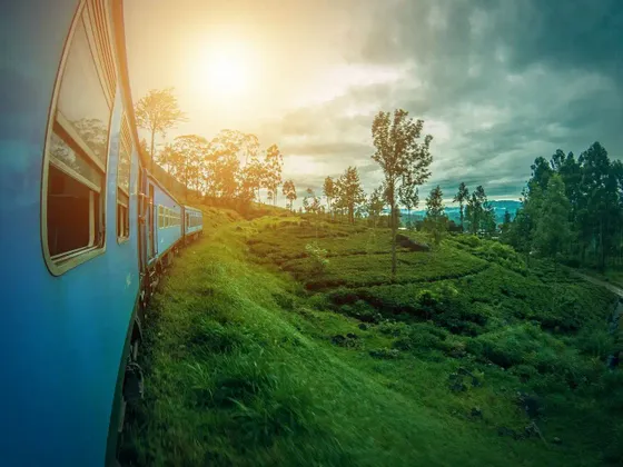 Un treno blu attraversa verdi colline e piantagioni di tè su un binario, sotto un cielo soleggiato e nuvoloso.