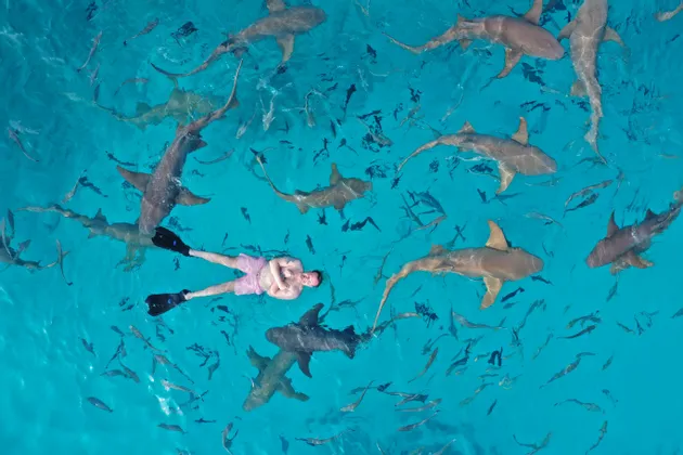 An aerial view of a man in pink shorts and flippers floating on his back in turquoise water, surrounded by many sharks.