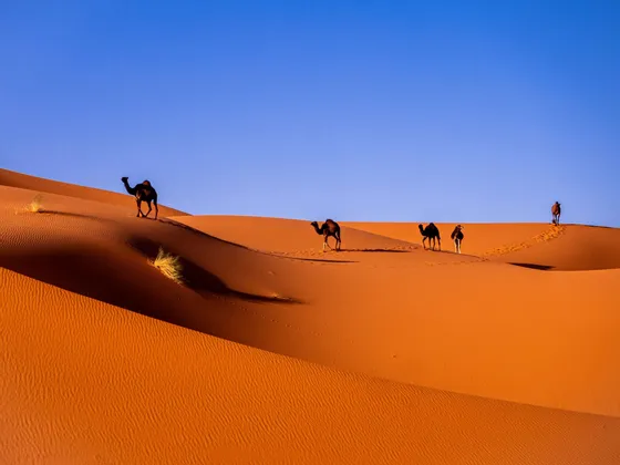 Eine Kamelkarawane zieht in einer Reihe über weite orangefarbene Sanddünen unter einem klaren tiefblauen Himmel und hinterlässt dabei Spuren im Sand.
